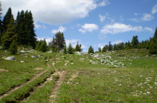Crossing the alpine meadows on the Brent Mtn trail 2009-07.